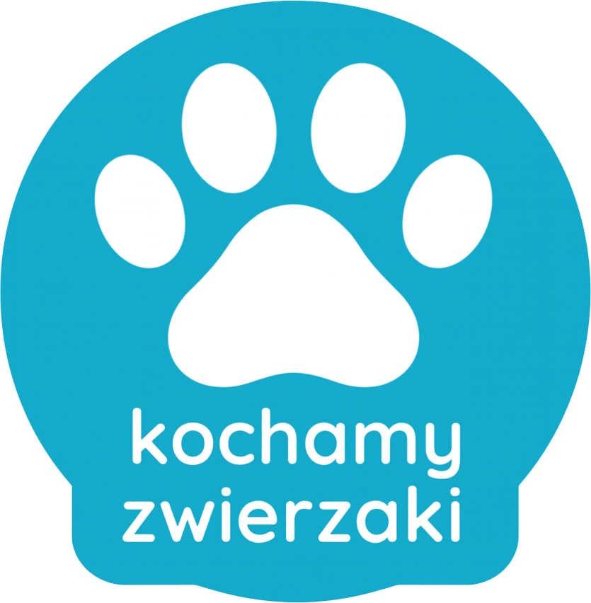 Kochamy zwierzaki — przyjazne psom